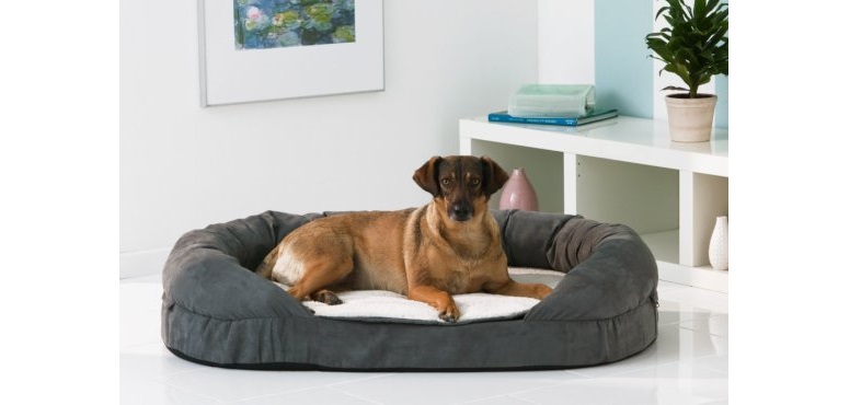 hund ortho bed karlie