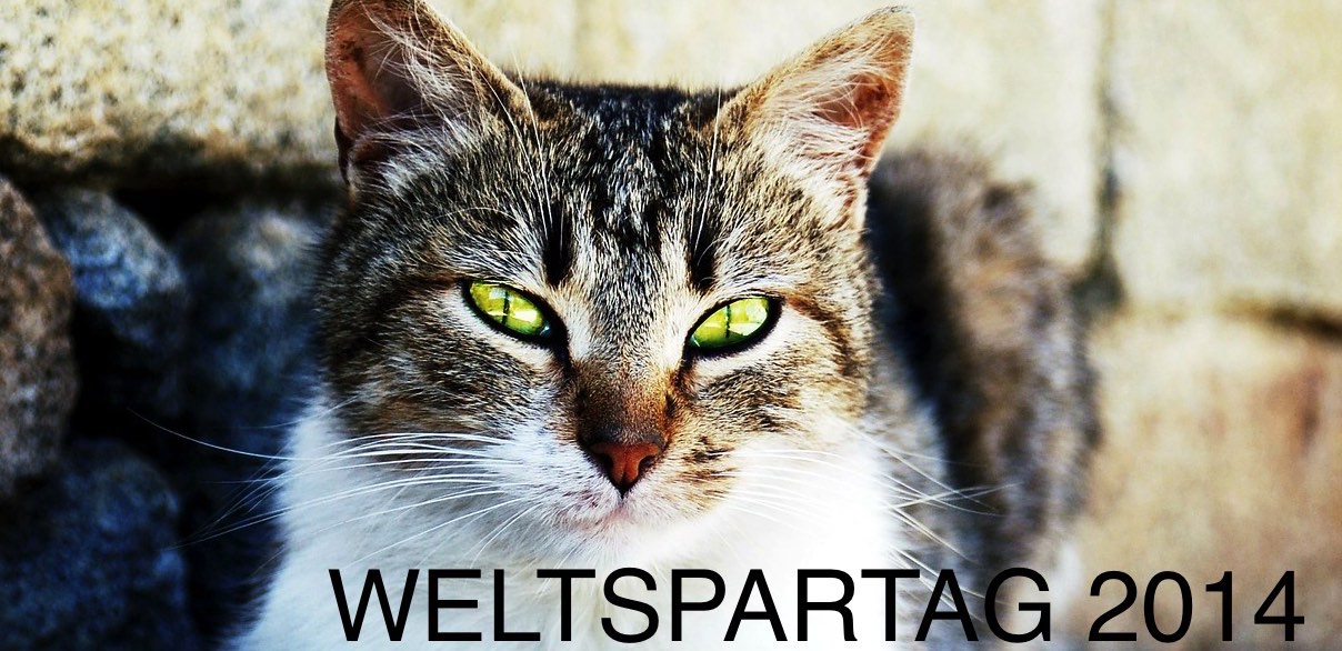 Weltspartag 2014 – die besten Angebote für eure Haustiere weltspartag 2014 titelbild1