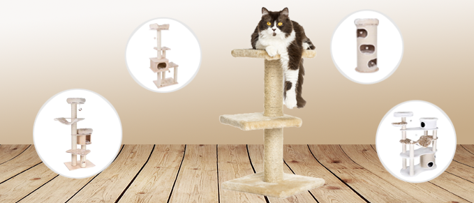 Ratgeber: Wofür benötigt meine Katze einen Kratzbaum und was ist beim Kauf zu beachten? Ratergeber welcher Katzbaum ist der Richtige sparpfoten
