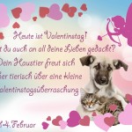 Valentinstag Februar sparpfoten jpg