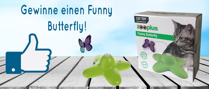Gewinne den Funny Butterfly von zooplus für deine Katze! gewinnspiel funny butterfly