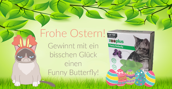 Oster Gewinnspiel Funny Butterfly sparpfoten1