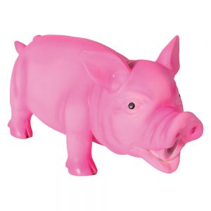 schwein