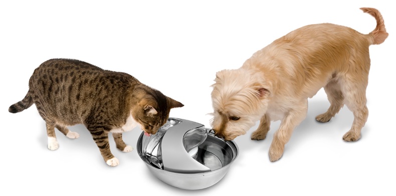 pioneer pet trinkbrunnen katzenland titelbild