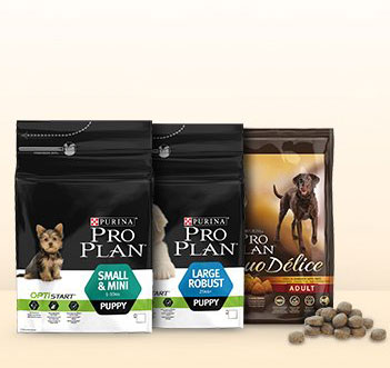 pro plan hundefutter amazon