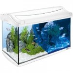 tetra aqua art led aquarium amazon