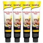 gimcat paste praemie des monats 11 15