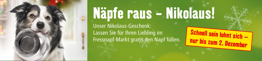 naepfe-raus-nikolaus-11-15-teaser