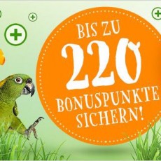 zooplus ostern 220 punkte sichern e1458643092496