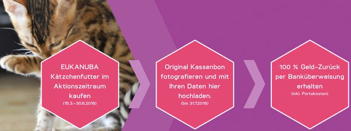 Eukanuba-Kitten-Katzenfutter-Cashback