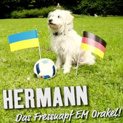 herrmann das em orakel von fressnapf deutschland ukraine