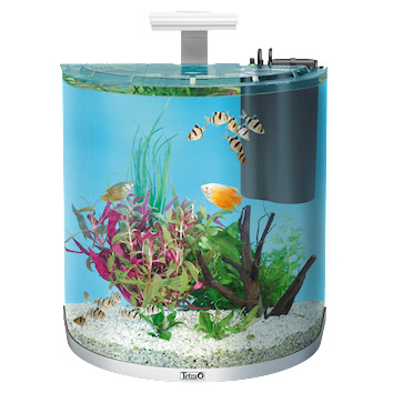 tetra aqua art explorer line aquarien komplettset 60 l weiss