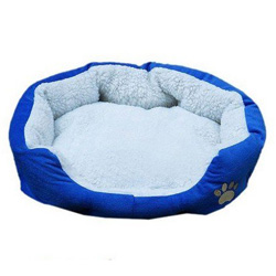 amazon carrot katzenbett blau