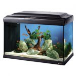 ferplast cayman 60 professional aquarium