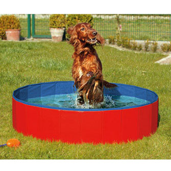 karlie doggy pool rot