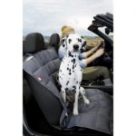 autoschondecke beifahrersitz grau doctorbark