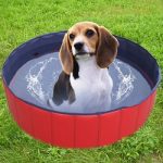 golden tulip 120042 doggy pool hundepool 120x30