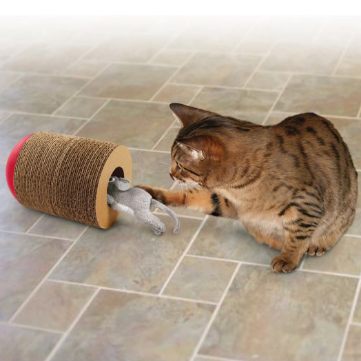 kong-cat-scamper-katzenspielzeug