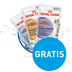 royal canin katzenfutter gratis testen