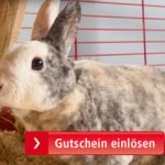 Fressnapf Staffelgutschein Kleintier