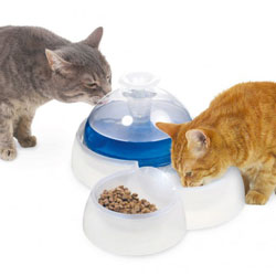 catit 50050 trinkbrunnen fresh clear 3 liter