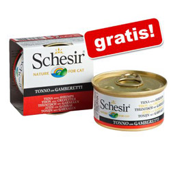 2 x 85 g schesir katzenfutter gratis zooplus