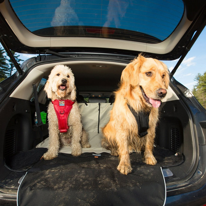 kurgo-kofferraumschutz-01107-cargo-cape-mit-hunden