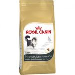 royal canin norwegische waldkatze trockenfutter