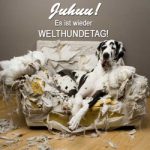 tiierisch de welthundetag 2016