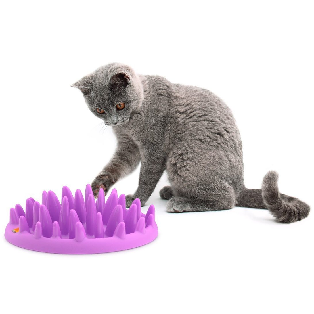 Karlie NORTHMATE CATCH Antischlingnapf lila für Katzen für 13,79 € + VSK bei Futterplatz (ab 29 € versandkostenfrei) karlie northmate catch katzen antischlingnapf e1478771344793