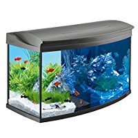 tetra aquaart aquarien komplettset amazon