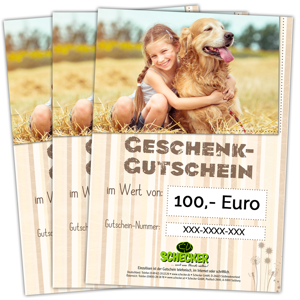 Zum Verschenken oder selbst einlösen: 20% Rabatt auf alle Schecker Geschenkgutscheine schecker gutschein
