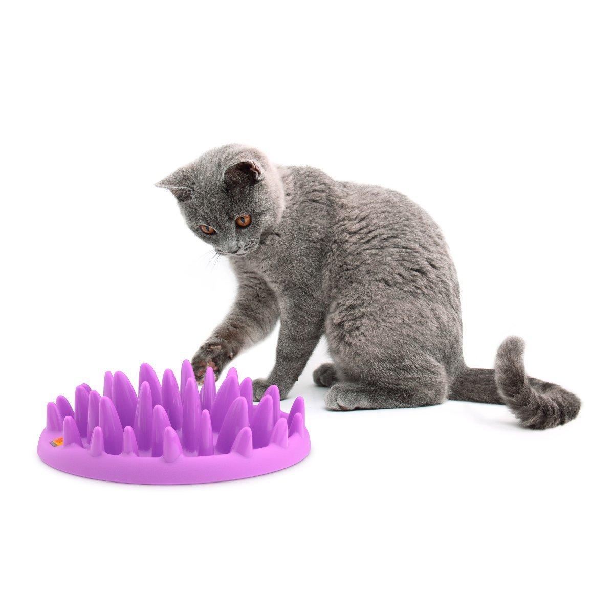Karlie Flamingo 44099 Northmate Catch Anti-Schling-Napf, 27 x 23 x 8 cm, lila für 12,28 € inkl. Versand Karlie Flamingo 44099 Northmate Catch