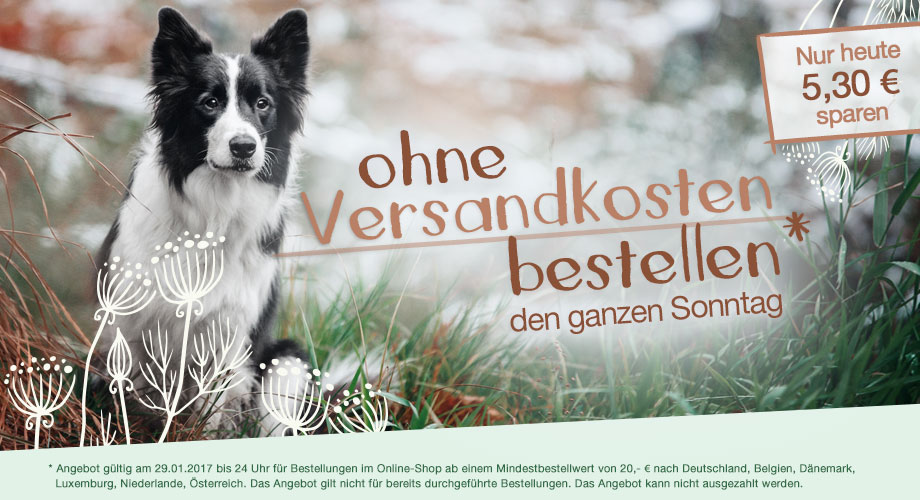 heute versandkostenfrei bestellen alsa hundewelt 29 01 17