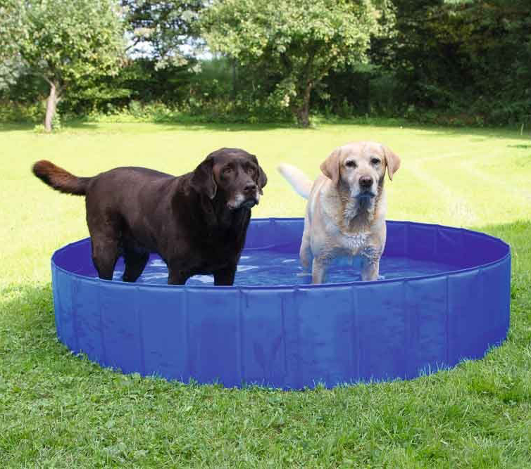 kerbl hundepool 80750 blau 160 x 30 cm