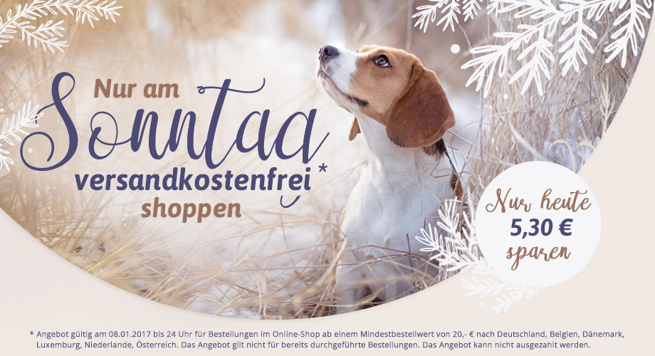 versandkostenfrei shoppen sonntag alsa hundewelt 01 17