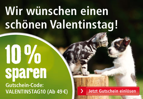 Gutschein Valentinstag Fressnapf 17