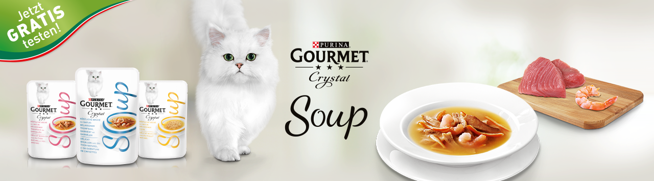 gourmet soup header