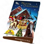 jr horse adventskalender zooplus