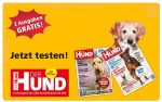 2gratishefte der hund