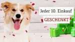 hundeland jeder 10 einkauf geschenkt