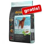 belcando oceanfish 1 kg gratis zooplus