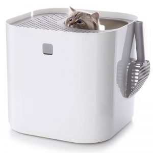 modko modkat katzentoilette weiss zooplus