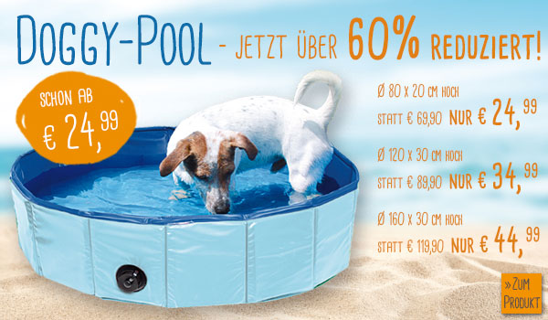 schecker doggy pool bis 60 prozenz reduziert