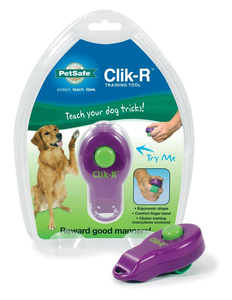 amazon petsafe clik r klicker clicker training