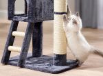 fressnapf kratzbaum katze kratzt