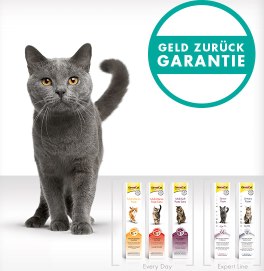 50 g GimCat Every Day oder Expert Line Paste kostenlos testen durch neue Geld-zurück-Garantie gimcat geld zurueck garantie 07 17