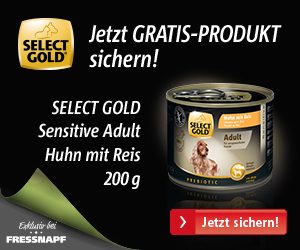 select gold nassfutter probe hund