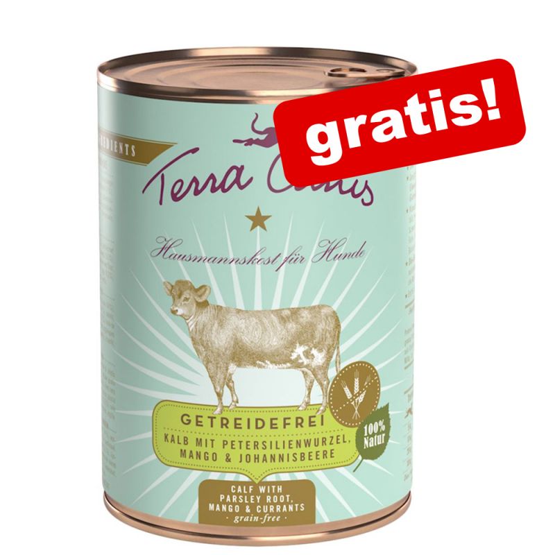 400 gDose Terra Canis Kalb mit Petersilienwurzel, Mango