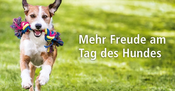 fressnapf tag des hundes 26 08 2017